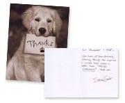 Dog holding a thank you letter